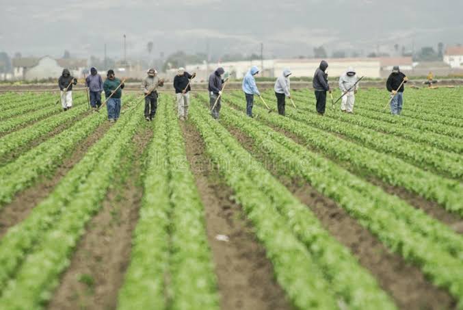 High Pay Jobs in Canada for Internationals – Farm Worker